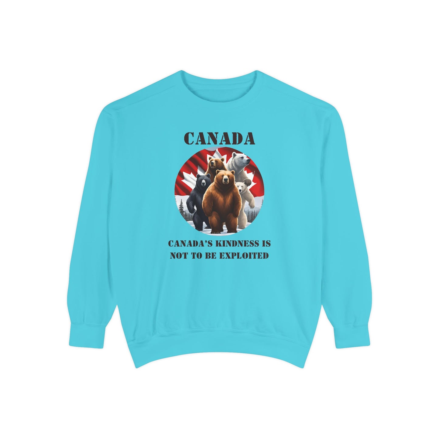 Unisex Garment-Dyed Sweatshirt
