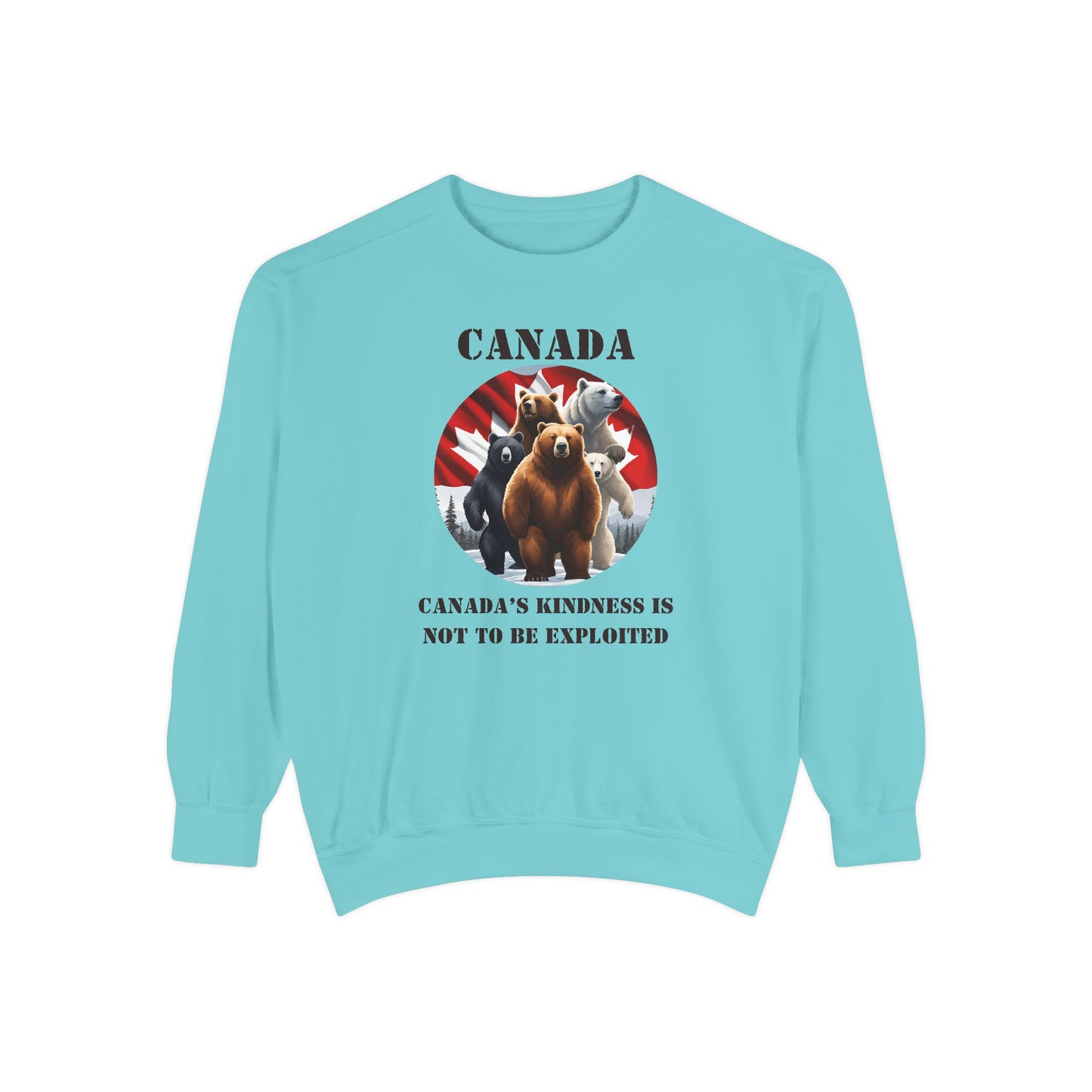 Unisex Garment-Dyed Sweatshirt